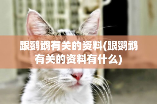 跟鸚鵡有關的資料(跟鸚鵡有關的資料有什么)
