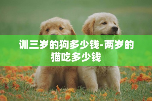 訓三歲的狗多少錢-兩歲的貓吃多少錢