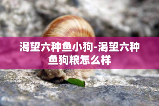 渴望六種魚小狗-渴望六種魚狗糧怎么樣