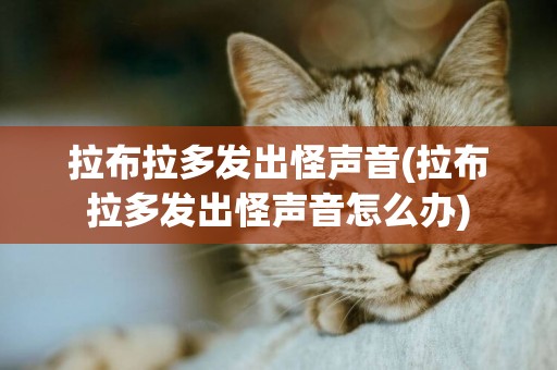 拉布拉多發出怪聲音(拉布拉多發出怪聲音怎么辦)