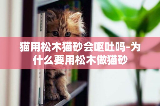 貓用松木貓砂會嘔吐嗎-為什么要用松木做貓砂