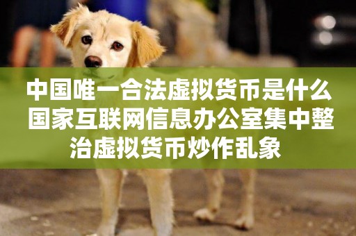 中國唯一合法虛擬貨幣是什么 國家互聯網信息辦公室集中整治虛擬貨幣炒作亂象 
