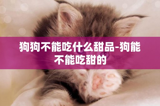 狗狗不能吃什么甜品-狗能不能吃甜的