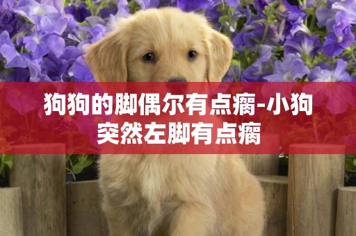 狗狗的腳偶爾有點瘸-小狗突然左腳有點瘸