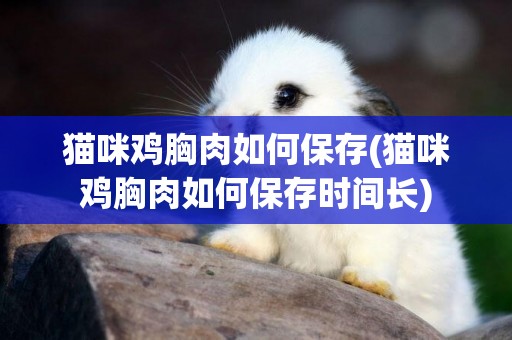 貓咪雞胸肉如何保存(貓咪雞胸肉如何保存時間長)