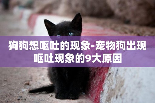 狗狗想嘔吐的現象-寵物狗出現嘔吐現象的9大原因