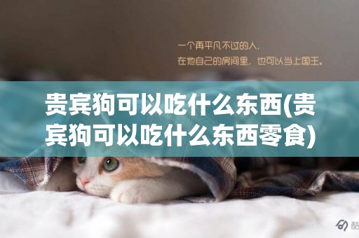 貴賓狗可以吃什么東西(貴賓狗可以吃什么東西零食)