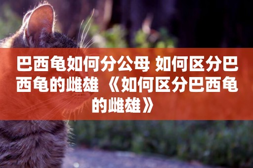 巴西龜如何分公母 如何區分巴西龜的雌雄 《如何區分巴西龜的雌雄》 