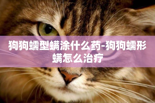狗狗蠕型螨涂什么藥-狗狗蠕形螨怎么治療