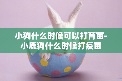 小狗什么時候可以打育苗-小鹿狗什么時候打疫苗