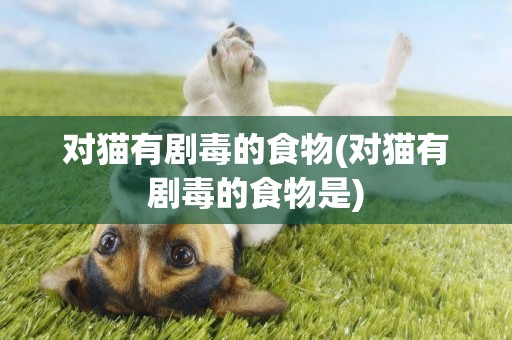 對貓有劇毒的食物(對貓有劇毒的食物是)