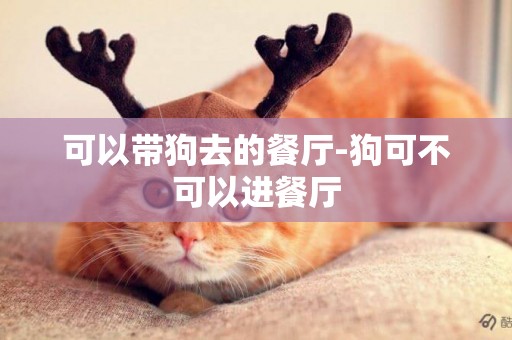 可以帶狗去的餐廳-狗可不可以進餐廳