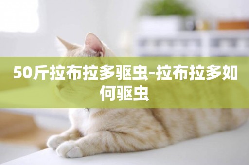 50斤拉布拉多驅蟲-拉布拉多如何驅蟲