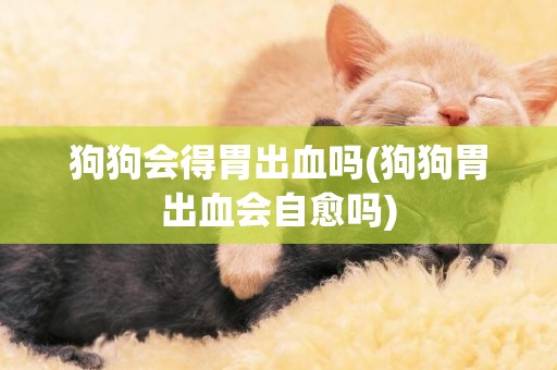 狗狗會得胃出血嗎(狗狗胃出血會自愈嗎)