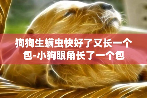 狗狗生螨蟲快好了又長一個包-小狗眼角長了一個包