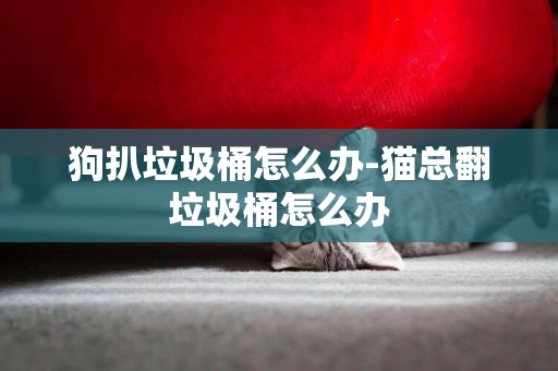 狗扒垃圾桶怎么辦-貓總翻垃圾桶怎么辦