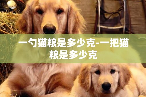一勺貓糧是多少克-一把貓糧是多少克