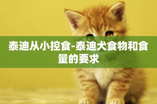 泰迪從小控食-泰迪犬食物和食量的要求