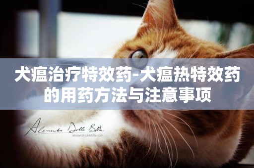 犬瘟治療特效藥-犬瘟熱特效藥的用藥方法與注意事項