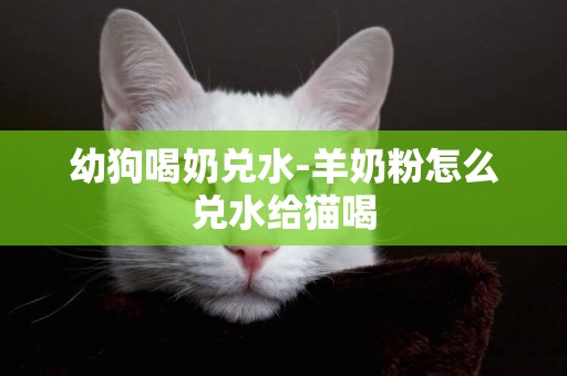 幼狗喝奶兌水-羊奶粉怎么兌水給貓喝