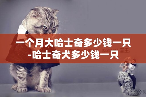 一個月大哈士奇多少錢一只-哈士奇犬多少錢一只