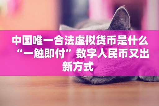 中國唯一合法虛擬貨幣是什么 “一觸即付”數字人民幣又出新方式 
