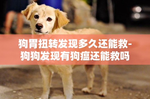 狗胃扭轉發現多久還能救-狗狗發現有狗瘟還能救嗎