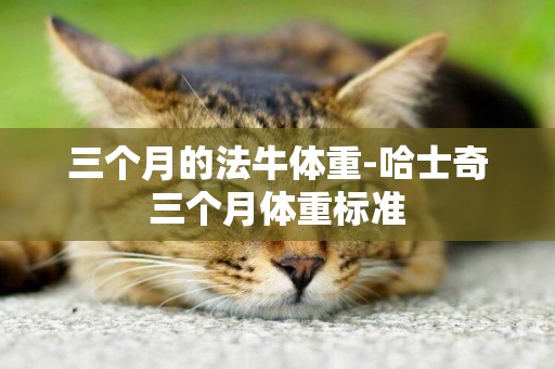 三個月的法牛體重-哈士奇三個月體重標準