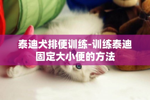 泰迪犬排便訓練-訓練泰迪固定大小便的方法