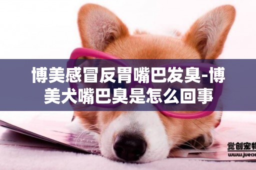 博美感冒反胃嘴巴發臭-博美犬嘴巴臭是怎么回事