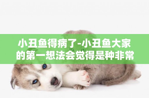 小丑魚得病了-小丑魚大家的第一想法會覺得是種非常丑的魚