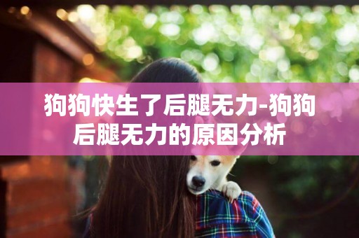 狗狗快生了后腿無力-狗狗后腿無力的原因分析