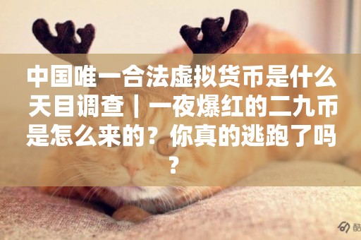 中國唯一合法虛擬貨幣是什么 天目調查｜一夜爆紅的二九幣是怎么來的？你真的逃跑了嗎？ 