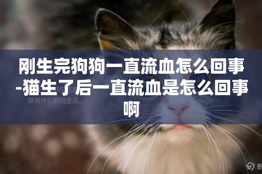 剛生完狗狗一直流血怎么回事-貓生了后一直流血是怎么回事啊