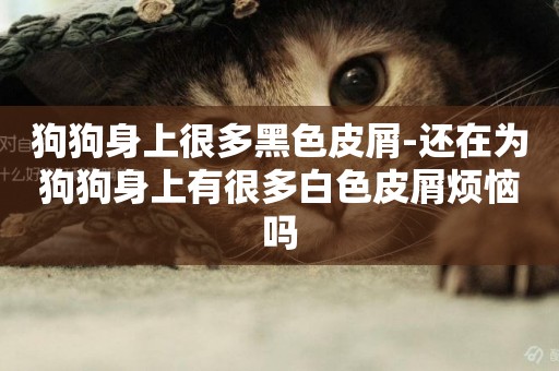 狗狗身上很多黑色皮屑-還在為狗狗身上有很多白色皮屑煩惱嗎