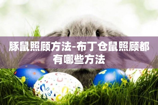 豚鼠照顧方法-布丁倉鼠照顧都有哪些方法