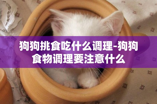 狗狗挑食吃什么調理-狗狗食物調理要注意什么
