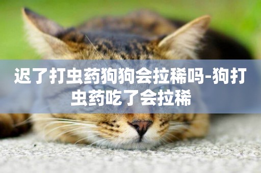 遲了打蟲藥狗狗會拉稀嗎-狗打蟲藥吃了會拉稀