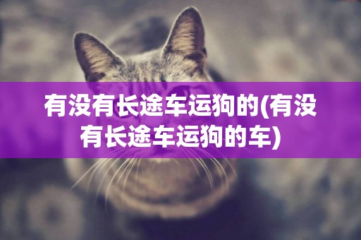 有沒有長途車運狗的(有沒有長途車運狗的車)