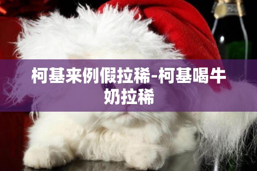 柯基來例假拉稀-柯基喝牛奶拉稀