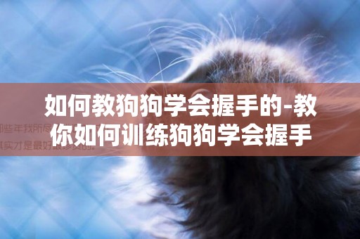 如何教狗狗學會握手的-教你如何訓練狗狗學會握手