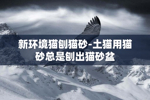 新環境貓刨貓砂-土貓用貓砂總是刨出貓砂盆