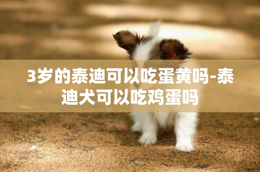 3歲的泰迪可以吃蛋黃嗎-泰迪犬可以吃雞蛋嗎