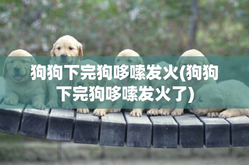 狗狗下完狗哆嗦發火(狗狗下完狗哆嗦發火了)