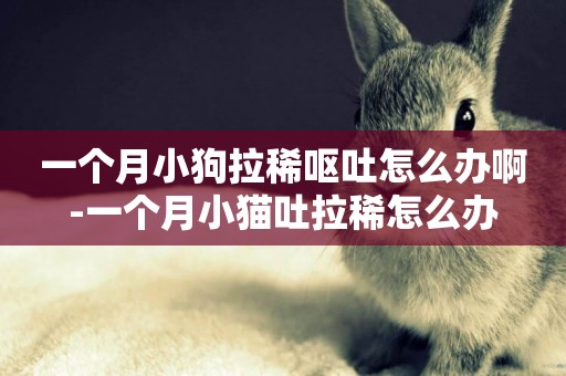 一個月小狗拉稀嘔吐怎么辦啊-一個月小貓吐拉稀怎么辦