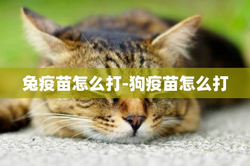 兔疫苗怎么打-狗疫苗怎么打