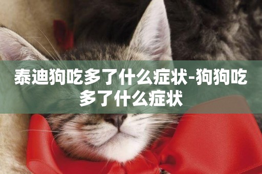 泰迪狗吃多了什么癥狀-狗狗吃多了什么癥狀