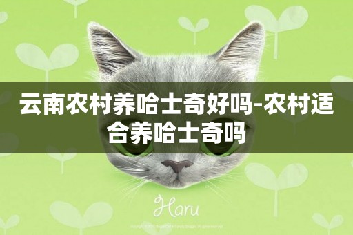 云南農村養哈士奇好嗎-農村適合養哈士奇嗎