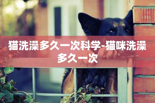 貓洗澡多久一次科學-貓咪洗澡多久一次