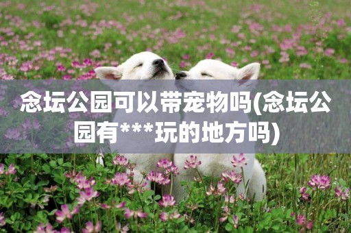 念壇公園可以帶寵物嗎(念壇公園有***玩的地方嗎)